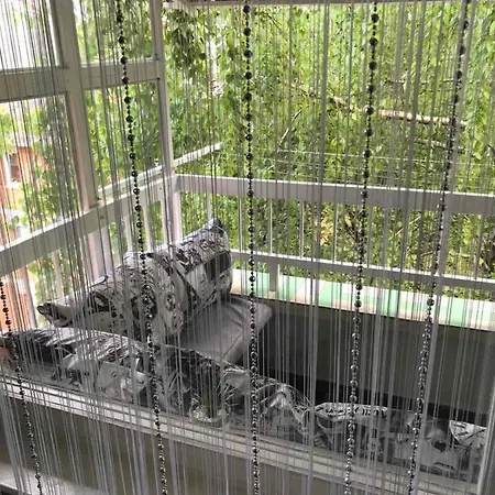 Pavle I Petra Apartment Sremski Karlovci