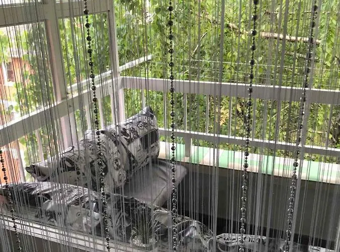 Pavle I Petra アパート スレムスキ・カルロヴツィ