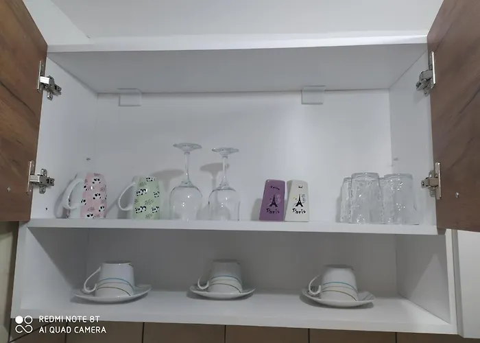 アパート Pavle I Petra スレムスキ・カルロヴツィ